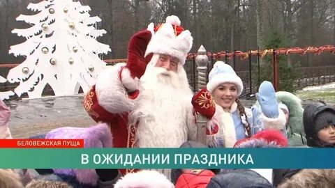 Беловежская пуща дед мороз 2023