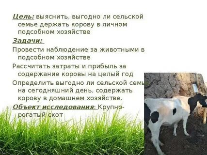 План лпх
