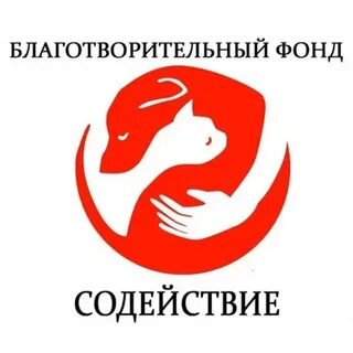 Благотворительный фонд помощь взрослым