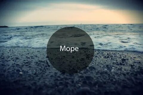 Sea likes me