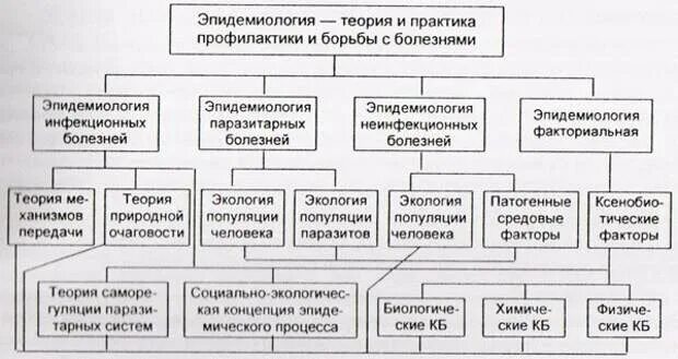 Наски эпидемиологи. Структура современной эпидемиологии. Структура современной военной эпидемиологии. Структура современной эпидемиологии схема. Структура дисциплины эпидемиология.