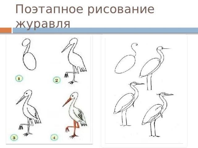 Нарисовать журавля поэтапно для детей. Поэтапный рисунок журавля. Журавль поэтапное рисование. Рисование журавля поэтапно для детей. Журавль рисунок для детей поэтапно.