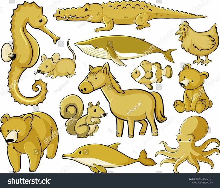 More animal colors