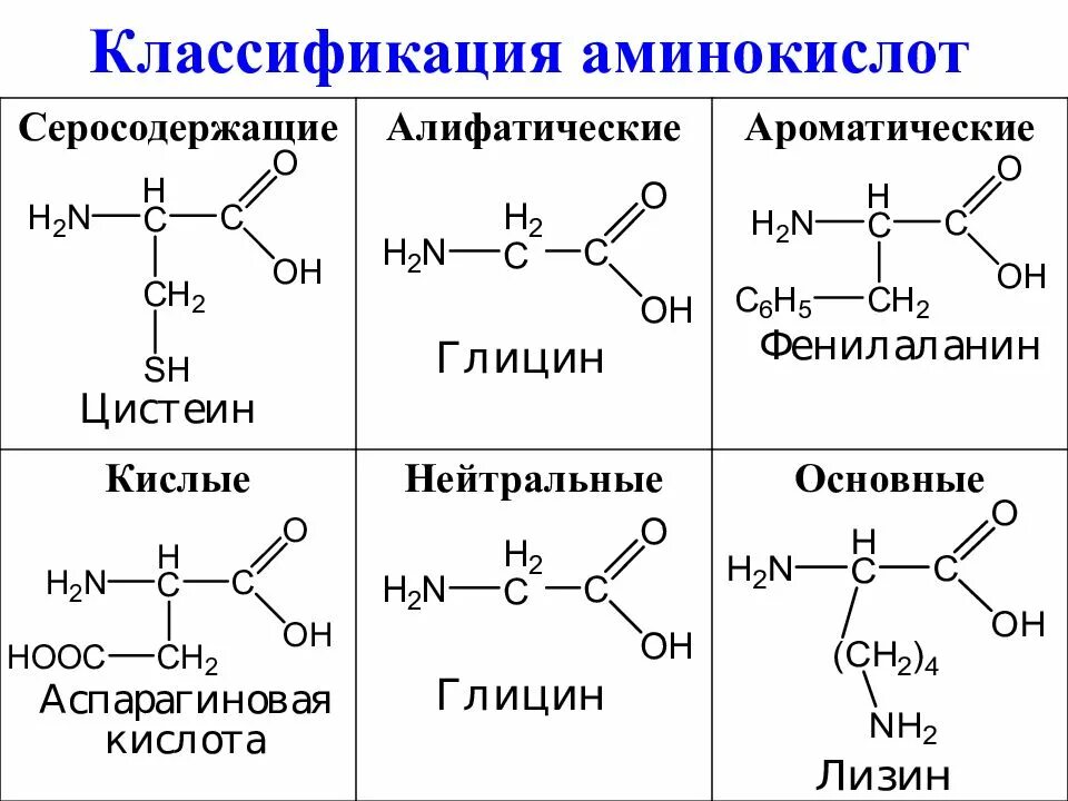 Аминокислотные радикалы