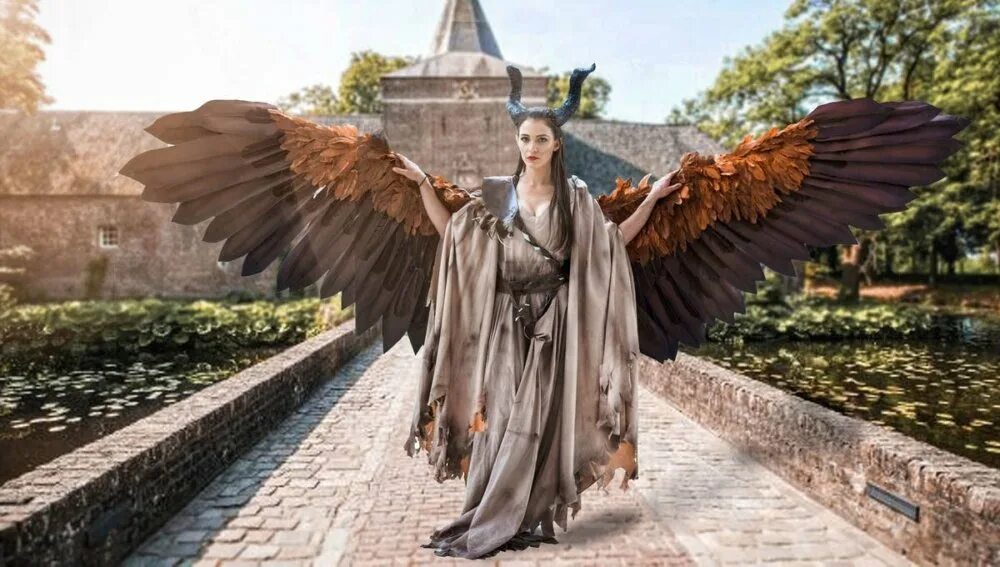Could it wings