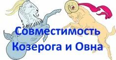 Козерог с козерогом совместимы в отношениях. Козерог с козерогом совместимы в отношениях