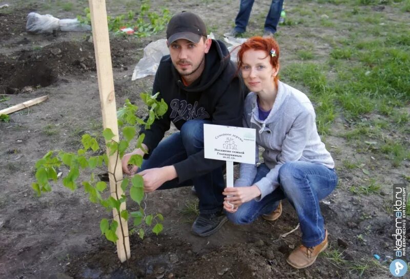 Семьи посадили деревья. Высадка семейного дерева. Семейная посадка деревьев. Акция посади семейное дерево. Именная посадка деревьев.