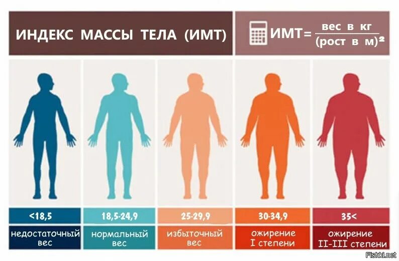 Примеры масс людей. Степени ожирения таблица. Ожирение. Норма веса ожирение. Нормальные люди по весу.