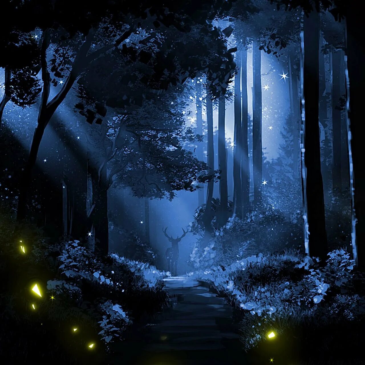 Ночь в сказочном лесу