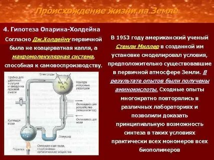 Происхождение жизни на земле опарина