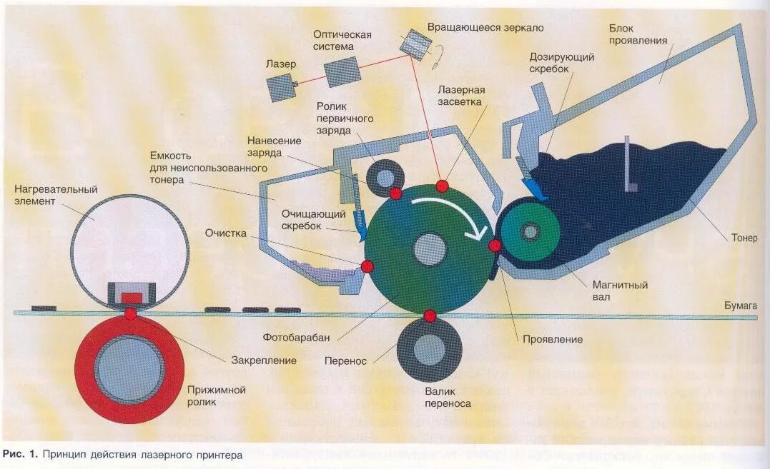 Как печатает лазерный. Принцип действия лазерного принтера. Схема работы лазерного принтера. Структурная схема и принцип работы лазерного принтера.. Устройство и принцип работы лазерного принтера.
