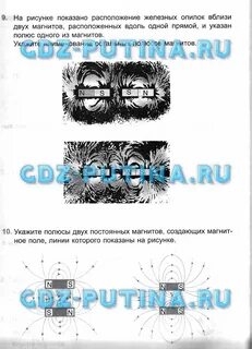 Укажите название явления которое изображено на картинке
