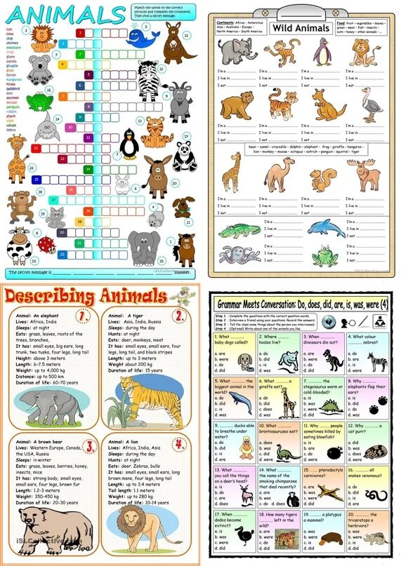 At the zoo задания. Domestic and wild animals worksheet. Животные на английском worksheets. Wild animals worksheets. Домашние животные на английском.