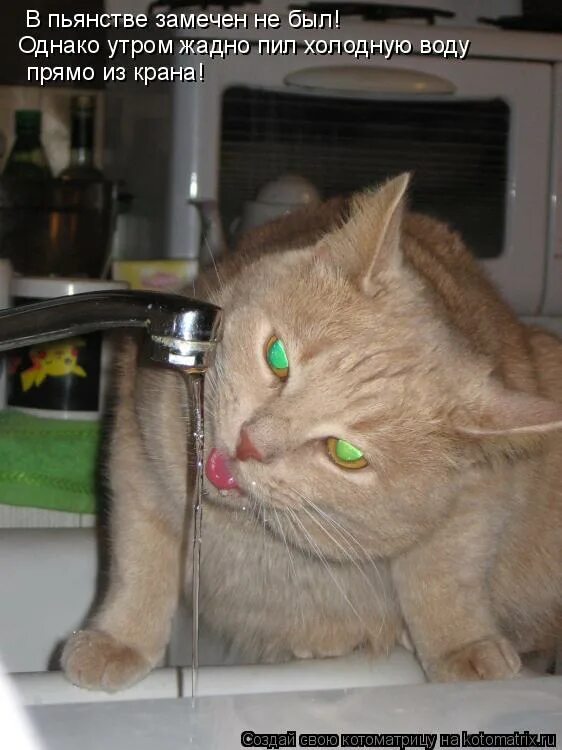 в пьянстве замечен не был но по утрам жадно пил воду. в пьянстве замечен не был но по утрам жадно пил воду. в пьянстве замечен не был но по утрам жадно пил воду. в пьянстве замечен не был. в пьянстве замечен не был.