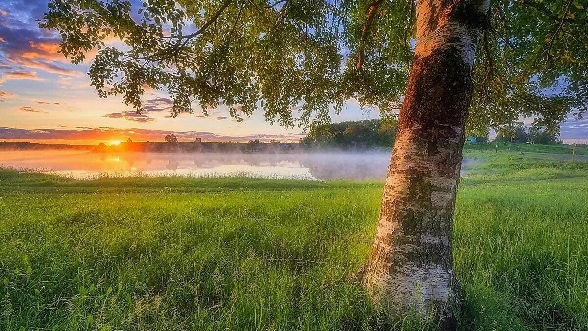 рассвет на реке лето деревня. лето рассвет. летний рассвет. лето июнь рассвет. закат на реке.