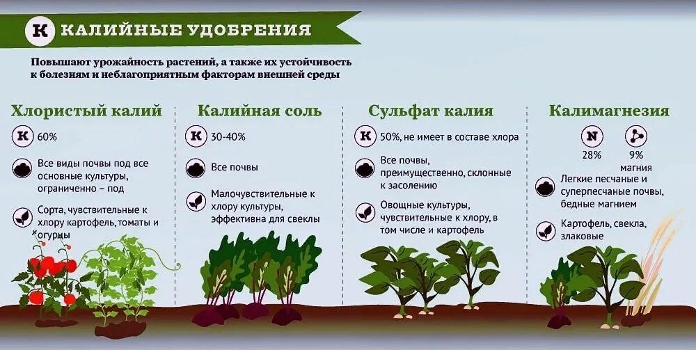Типы удобрений для растений. Подкормка растений. Схема удобрения. Удобрения для огорода.