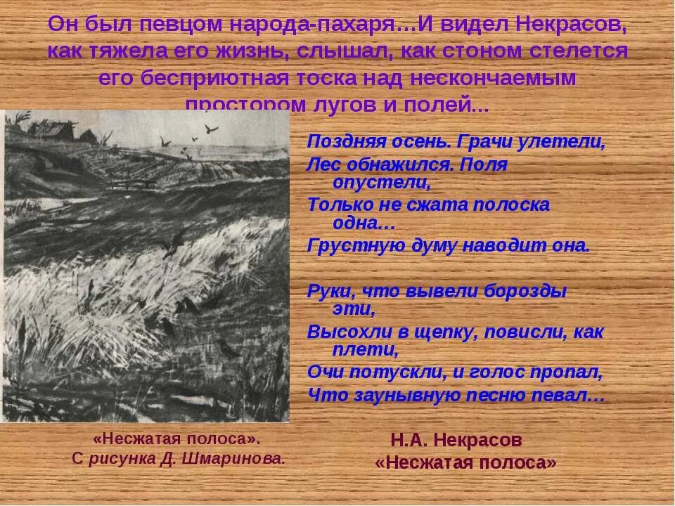 Несжатая как пишется. Стихотворение Некрасова Несжатая полоса. Стих Несжатая полоса н.а.Некрасов.