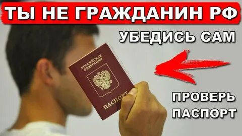 В какой статье это прописано