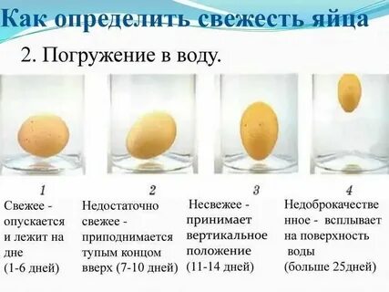 Почему яйцо пропадает