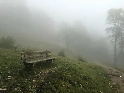 Rest path