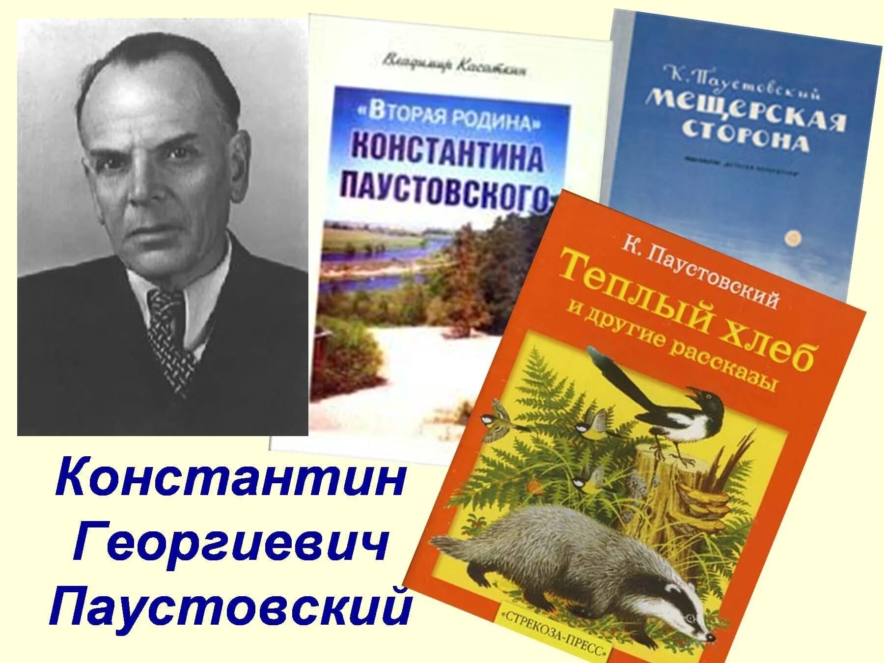 Писателя Константина Георгиевича Паустовского. Паустовский портрет писателя.