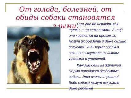 Как становятся злыми