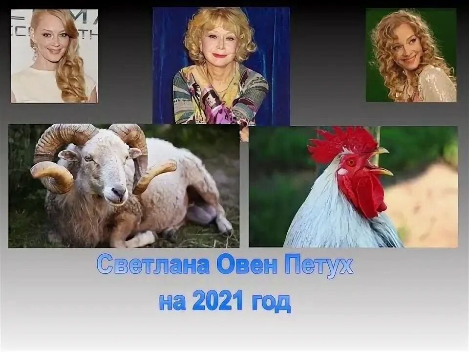 Дерево овен петух. Гороскопы овен петух. Гороскопы овен петух. Гороскопы овен петух. Гороскопы овен петух.