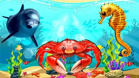 Морские животные развивающее видео для детей