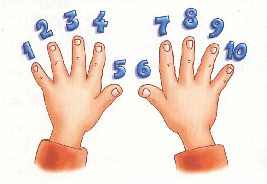 По рукам 10 букв. Счет на пальцах. Счет на пальчиках для детей. Счет на пальцах для детей. Числа на пальцах.