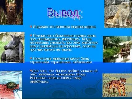 Гипотеза животного