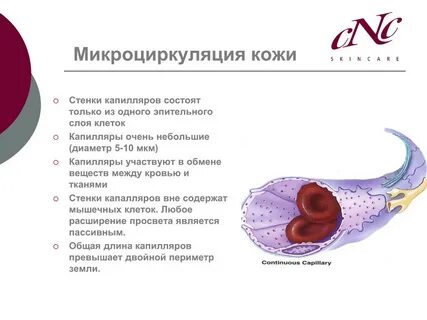 Улучшить кровообращение кожи