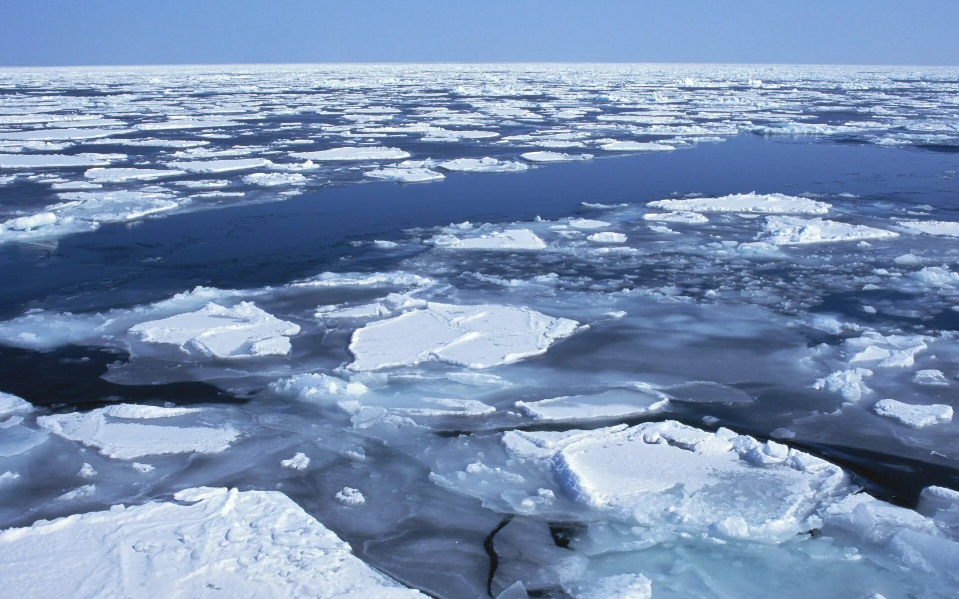 Северный Ледовитый океан Восточно-Сибирское море. Море Лаптевых ледяной Покров. Северно Ледовитый океан море Лаптевых. Льдина в море.
