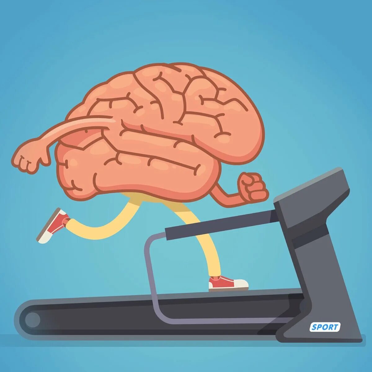 Мозг тренируется. Тренировка мозга. Ленивый мозг. Тренажер для мозга.