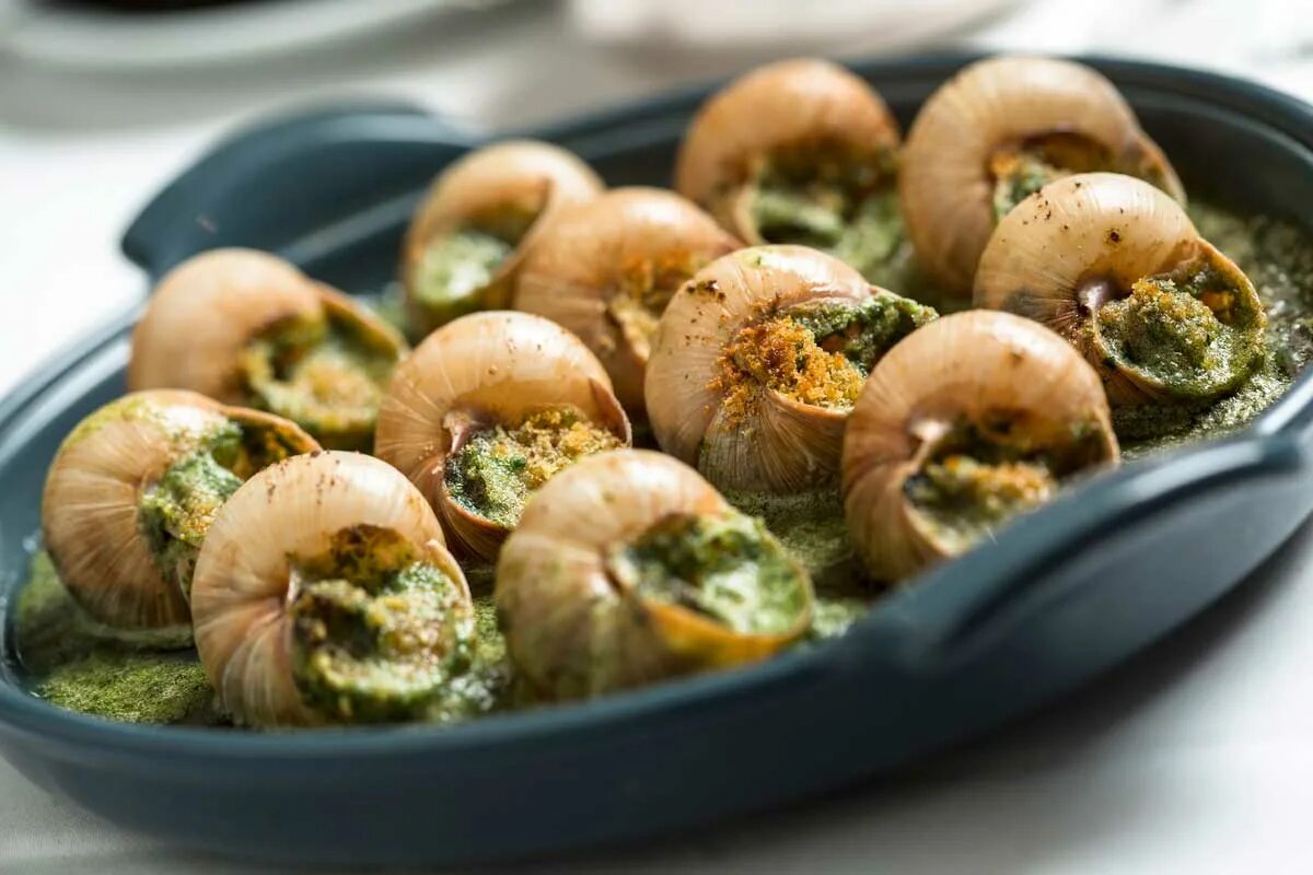 Улитки Эскарго. Эскарго Франция. Улитка Виноградная escargots. Эскарго де Бургонь. Блюдо из улиток