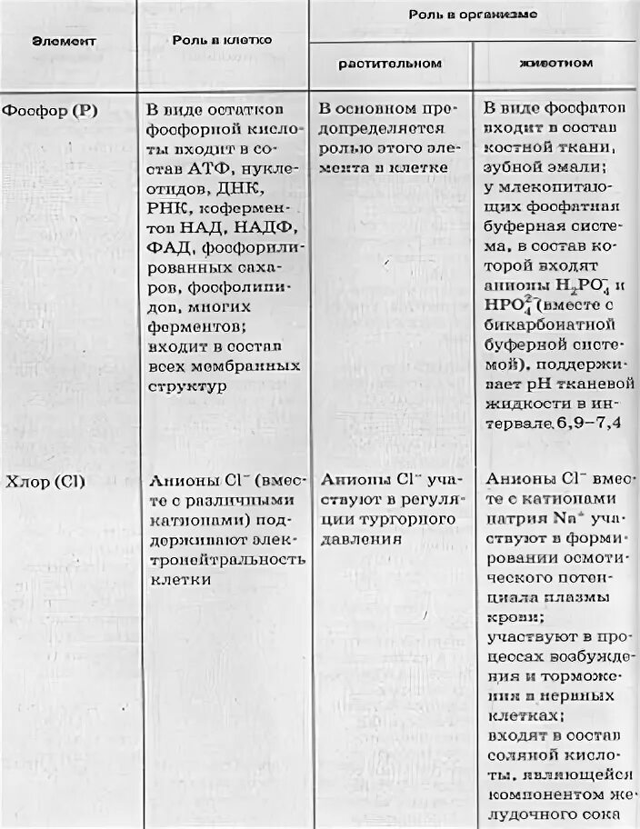 Вещества клетки и их функции таблица. Органические соединения клетки таблица функции строение. химическая организация клетки неорганические вещества таблица. органические вещества клетки таблица.