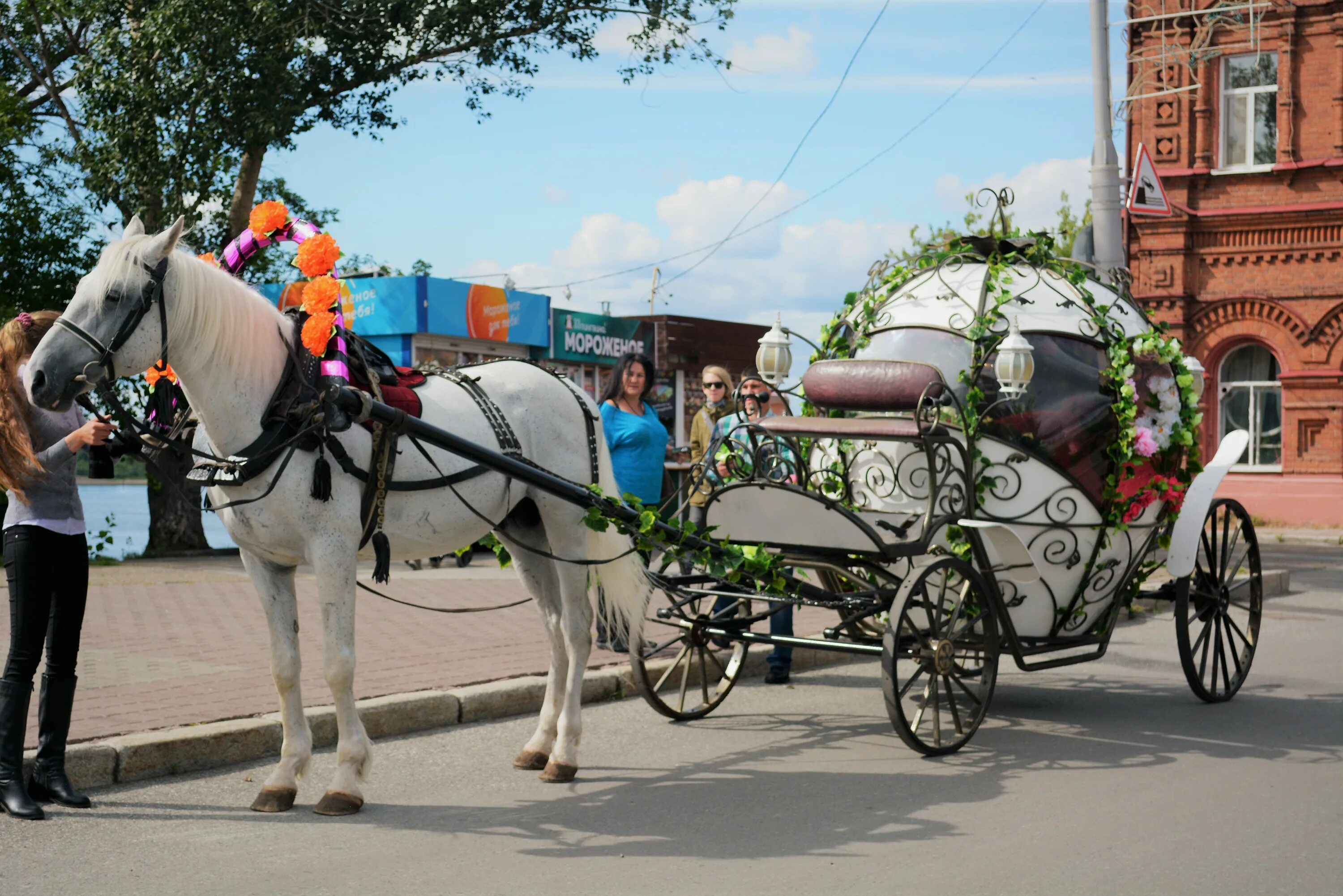 Прокат транспорта. Свадебная повозка с лошадьми. Карета Гулькевичи. Карета с лошадьми на свадьбу. Лошадь Томск.