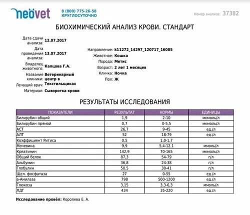 Сколько делается развернутый анализ крови. Сколько по времени готовится развернутый анализ крови. Креатинин норма у животных. Норма креатинина у животных. Результаты анализов будут готовы