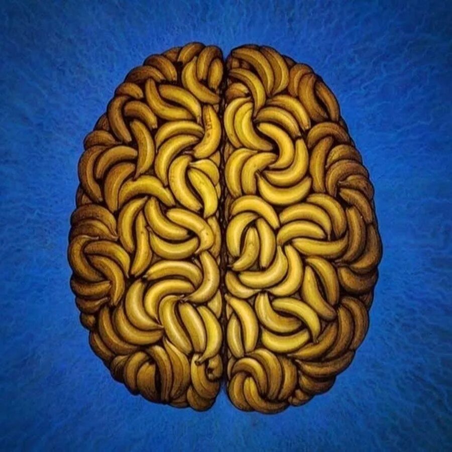 Die antwoord brain. Банановый мозг. Банановые мозги. Мозговой банан. Мозг с ушами.
