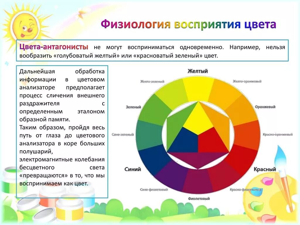 Чем управляют блоки зеленой палитры действие. Восприятие цвета. Физиологическое восприятие цвета. Физиология восприятия цвета человеком. Цвета антагонисты.