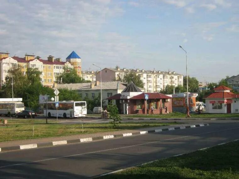 Н п дубовое. Дубовое белгородская область. посёлок дубовое белгородская область. дк дубовое белгородский район. дубовая площадь.