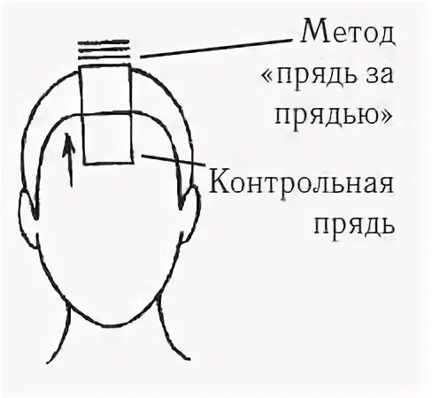 Метод прядь на прядь. Методы стрижки волос прядь за прядью. методы стрижки прядь на прядь. метод прядь на прядь схема. схема стрижки прядь за прядью.