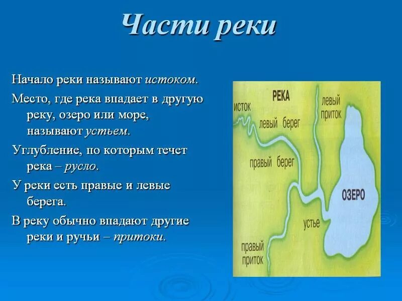 Что является устьем