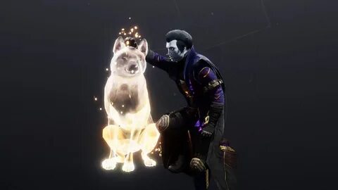 Loyal companion