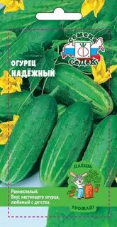 Сорт огурцов реванш