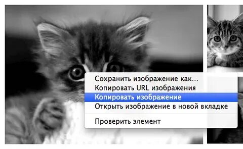 Копировать других
