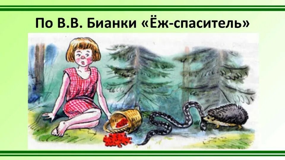 Еж Спаситель Бианки. Рассказ еж Спаситель. Бианки еж. Еж спаситель основная мысль