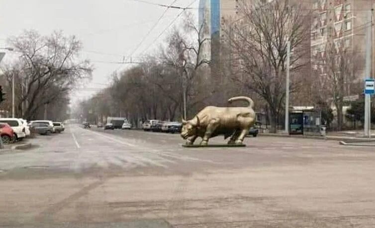 Тащили быка