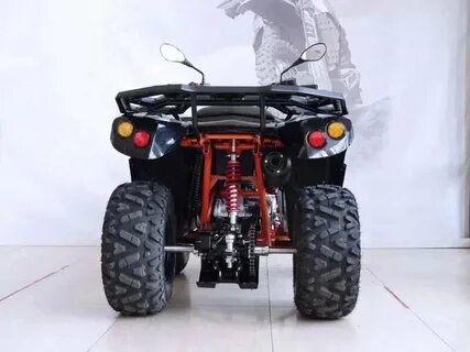 Kayo bull
