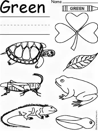 Colours green worksheets. Colours задания. Colours green worksheets. Green worksheet. Задания по английскому цвета.