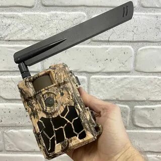 Егерькам